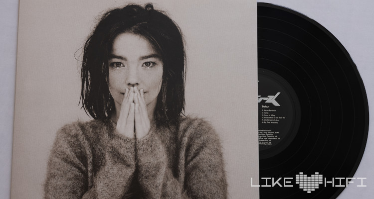 Bjork Debut Vinyl Cover