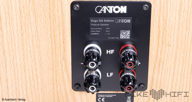 Detailbild: Canton Ergo GS Edition Anschlüsse