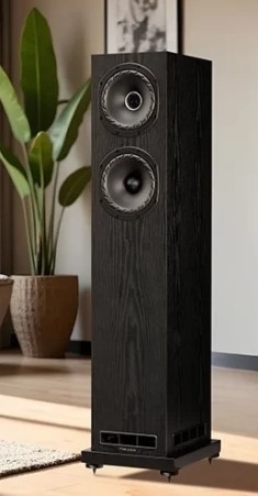 Fyne Audio F501 E