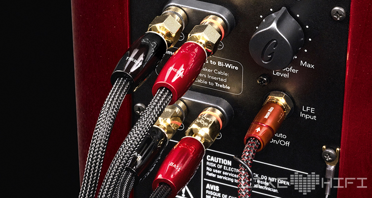 GoldenEar T66 Anschlüsse Lautsprecher