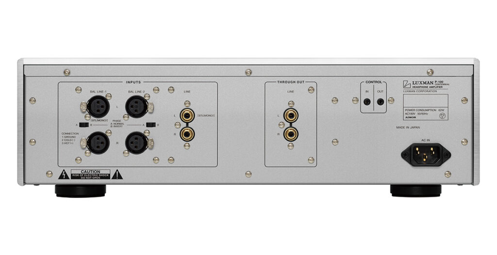 Rückseite des Luxman P-100C