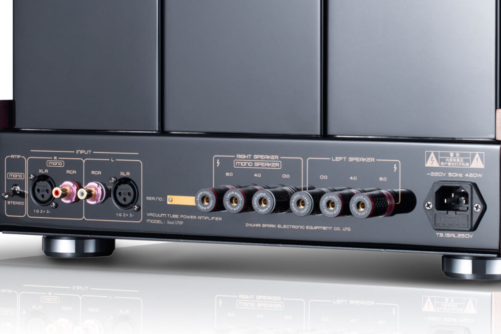Endstufe Cayin Soul 170P